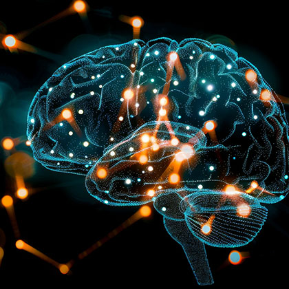 GST Hyper Brain CD 369 ミロク Miroku Mind GST Hyper Brain CD 369 ミロク Miroku Mind